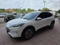 Ford Kuga 2.5 Duratec PHEV Titanium 4x2 Blanco - thumbnail 1