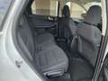 Ford Kuga 2.5 Duratec PHEV Titanium 4x2 Blanco - thumbnail 12