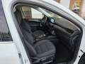 Ford Kuga 2.5 Duratec PHEV Titanium 4x2 Blanco - thumbnail 13