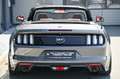 Ford Mustang Cabrio 5.0 V8 GT Aut. KW* 20 Schmidt !* Grau - thumbnail 25