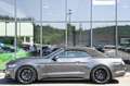 Ford Mustang Cabrio 5.0 V8 GT Aut. KW* 20 Schmidt !* Grau - thumbnail 27