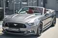 Ford Mustang Cabrio 5.0 V8 GT Aut. KW* 20 Schmidt !* Grau - thumbnail 29