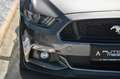 Ford Mustang Cabrio 5.0 V8 GT Aut. KW* 20 Schmidt !* Grau - thumbnail 22