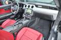 Ford Mustang Cabrio 5.0 V8 GT Aut. KW* 20 Schmidt !* Grau - thumbnail 12