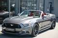 Ford Mustang Cabrio 5.0 V8 GT Aut. KW* 20 Schmidt !* Grau - thumbnail 3