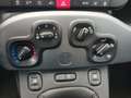 Fiat Panda 1.0 Gse Sport Hybrid Blanco - thumbnail 14