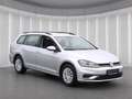 Volkswagen Golf Variant VII 1.6TDI*Navi Tempom SHZ PDCv+h Silber - thumbnail 19