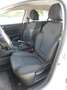Renault Megane Sporter 1.5 blue dci Business Bianco - thumbnail 6