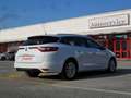 Renault Megane Sporter 1.5 blue dci Business Bianco - thumbnail 4