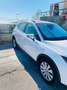 SEAT Arona Arona 2022 1.0 tgi Reference 90cv Bianco - thumbnail 11