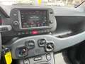 Fiat Panda 1.0 FireFly S&S Hybrid Rosso - thumbnail 12