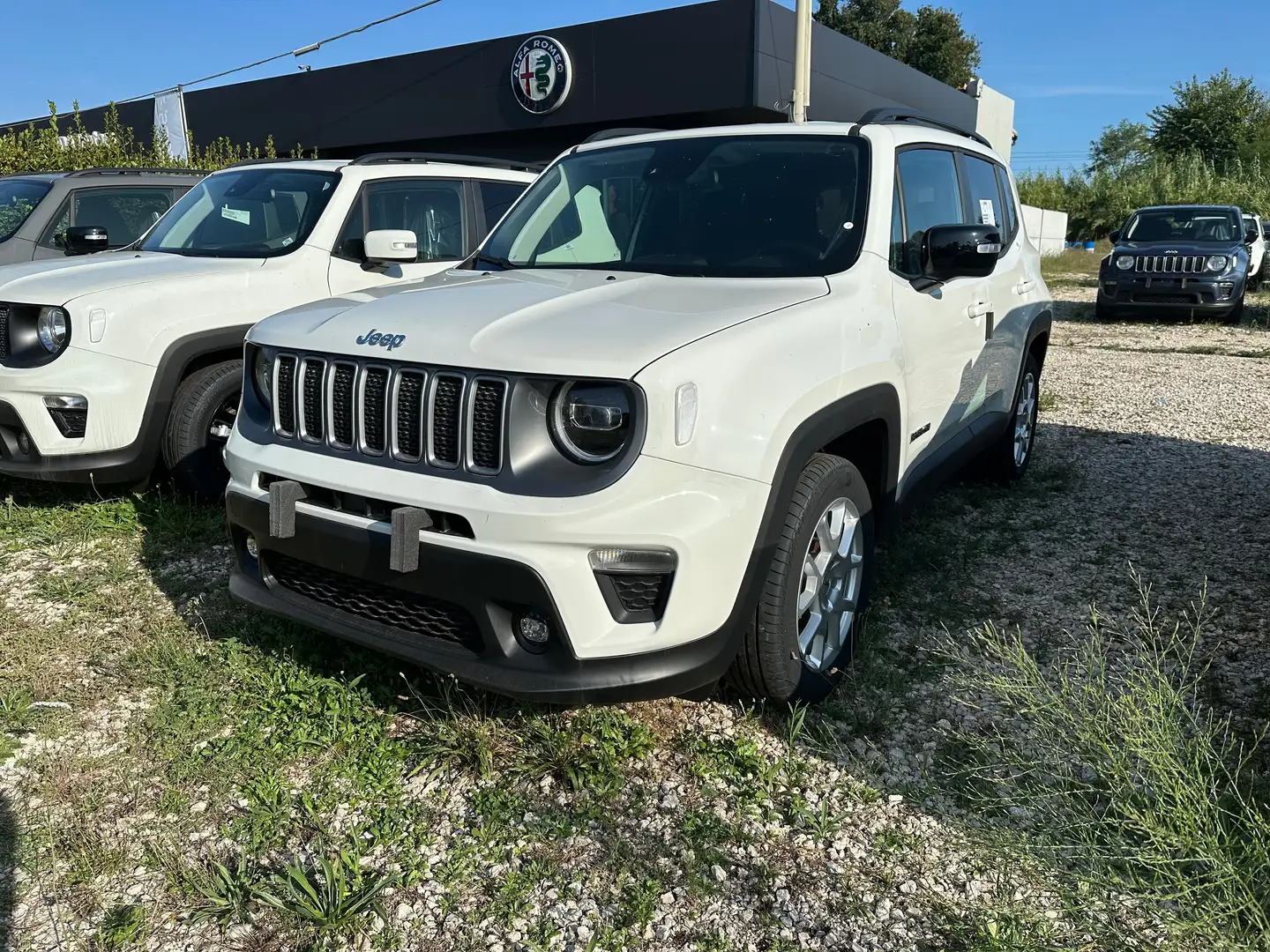 Jeep Renegade MY23 Limited 1.0  - PPP52367 Bianco - 2
