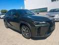 Lexus Sonstige 300h F-Sport Design el. Kofferraum MY26 Grün - thumbnail 12