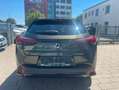 Lexus Sonstige 300h F-Sport Design el. Kofferraum MY26 Grün - thumbnail 10