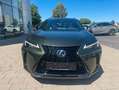 Lexus Sonstige 300h F-Sport Design el. Kofferraum MY26 Grün - thumbnail 13