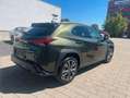 Lexus Sonstige 300h F-Sport Design el. Kofferraum MY26 Grün - thumbnail 11