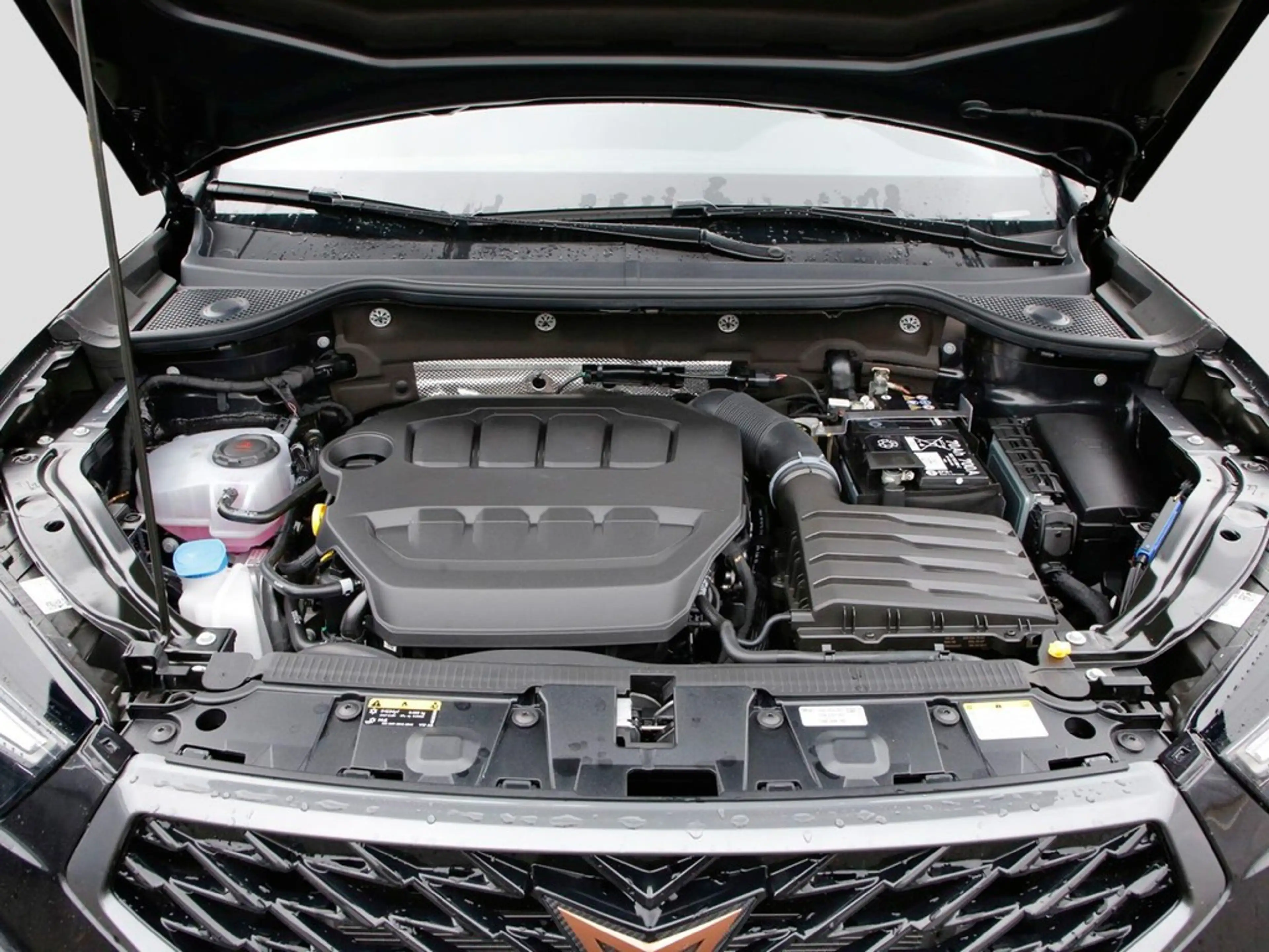 CUPRA Ateca VZ 2.0 TSI Sie sparen 21.030 ATZ — photo 7