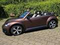 Volkswagen Beetle The Beetle Cabriolet 2.0 TDI DSG (BlueMotion Tech) Bronze - thumbnail 3
