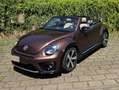 Volkswagen Beetle The Beetle Cabriolet 2.0 TDI DSG (BlueMotion Tech) Bronze - thumbnail 4