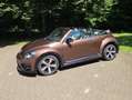 Volkswagen Beetle The Beetle Cabriolet 2.0 TDI DSG (BlueMotion Tech) Bronze - thumbnail 11