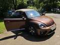 Volkswagen Beetle The Beetle Cabriolet 2.0 TDI DSG (BlueMotion Tech) Bronze - thumbnail 5