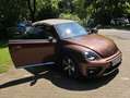 Volkswagen Beetle The Beetle Cabriolet 2.0 TDI DSG (BlueMotion Tech) Bronze - thumbnail 13