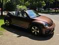 Volkswagen Beetle The Beetle Cabriolet 2.0 TDI DSG (BlueMotion Tech) Bronze - thumbnail 12