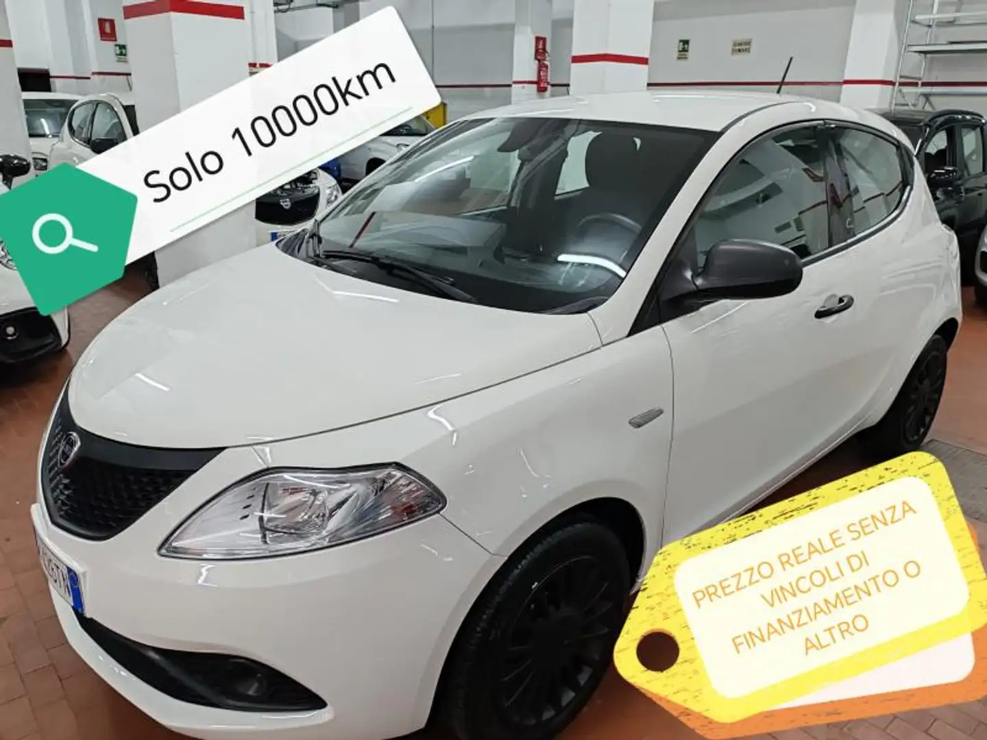 Lancia Ypsilon Bianco - 1
