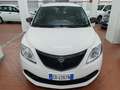 Lancia Ypsilon Bianco - thumbnail 2