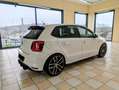 Volkswagen Polo GTI 5p 1.8 bm Technology Gti TETTO Weiß - thumbnail 8