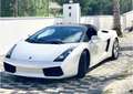 Lamborghini Gallardo Spider 5.0 520 e-gear - thumbnail 4