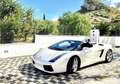 Lamborghini Gallardo Spider 5.0 520 e-gear - thumbnail 5