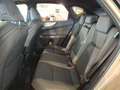 Lexus NX 350h E-Four Overtrail Aut. Beige - thumbnail 22