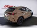 Lexus NX 350h E-Four Overtrail Aut. Beige - thumbnail 5