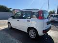Fiat Panda My Panda Sportsitze Sport Lenkrad Weiß - thumbnail 4