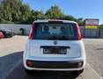 Fiat Panda My Panda Sportsitze Sport Lenkrad Weiß - thumbnail 5