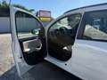 Fiat Panda My Panda Sportsitze Sport Lenkrad Weiß - thumbnail 7