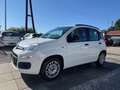 Fiat Panda My Panda Sportsitze Sport Lenkrad Weiß - thumbnail 3