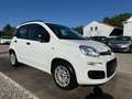 Fiat Panda My Panda Sportsitze Sport Lenkrad Weiß - thumbnail 1