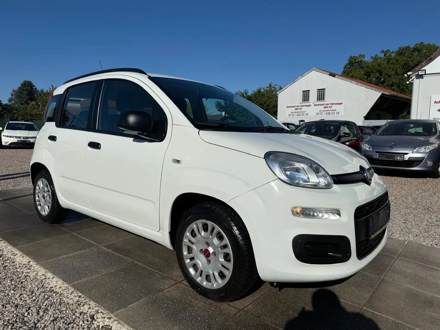 Fiat Panda My Panda Sportsitze Sport Lenkrad Weiß - 1