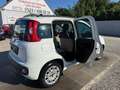 Fiat Panda My Panda Sportsitze Sport Lenkrad Weiß - thumbnail 10