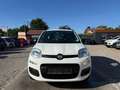 Fiat Panda My Panda Sportsitze Sport Lenkrad Weiß - thumbnail 2