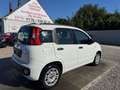 Fiat Panda My Panda Sportsitze Sport Lenkrad Weiß - thumbnail 6