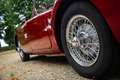 MG MGA 1500 Roadster Rot - thumbnail 9