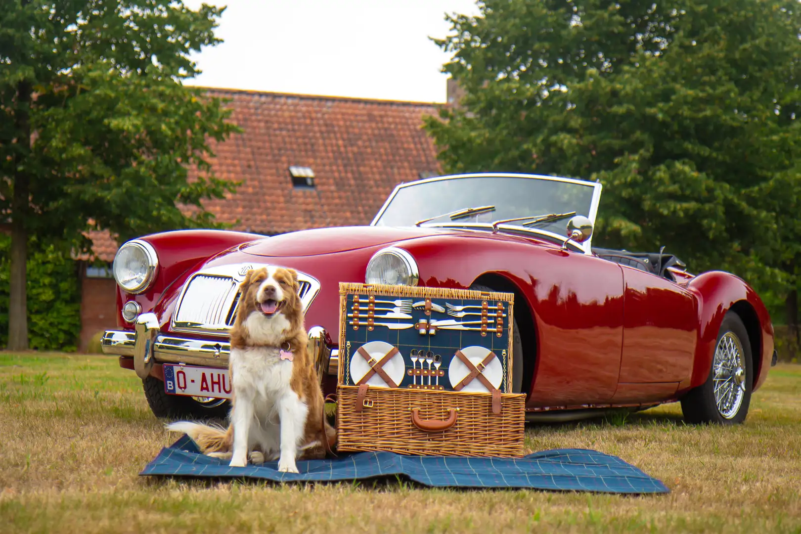 MG MGA 1500 Roadster Rot - 2