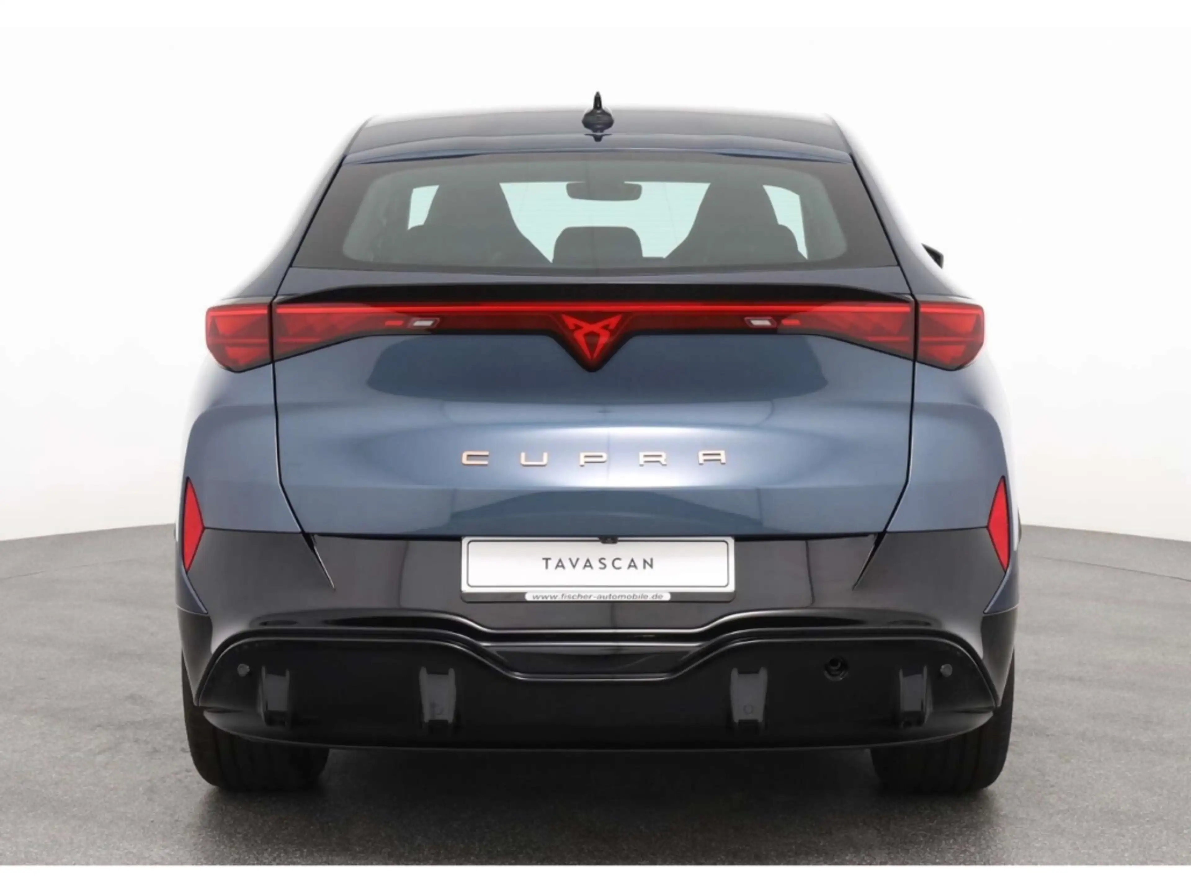 CUPRA Tavascan Endurance — photo 6