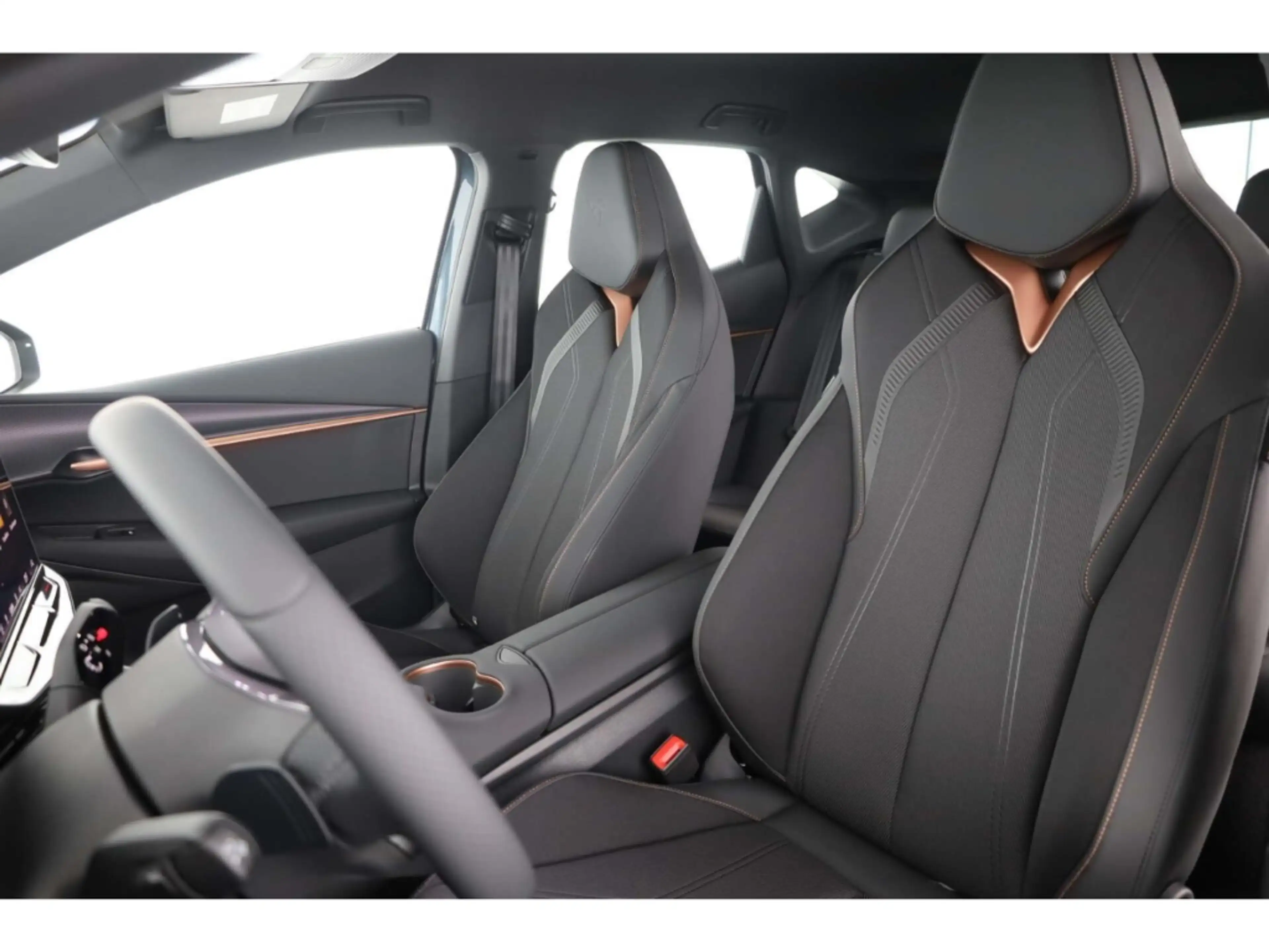CUPRA Tavascan Endurance — photo 10