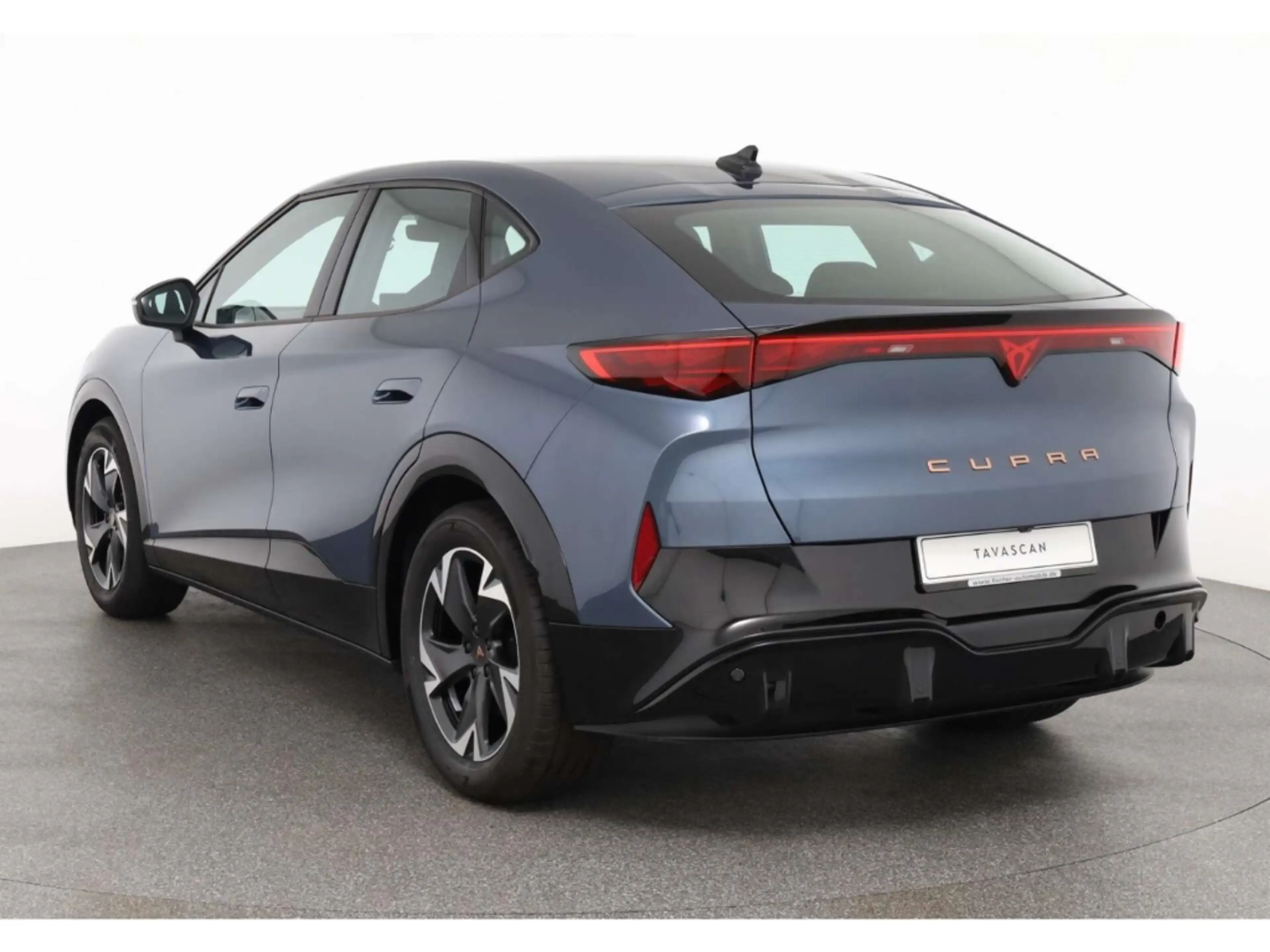 CUPRA Tavascan Endurance — photo 4