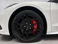 Corvette C8 C8 Conver. 6.2 V8 AEC Hdl *3JahreGarantie*24 MY* Alb - thumbnail 9