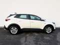 Opel Grandland X 1,5 Diesel Elegance Aut. Weiß - thumbnail 9